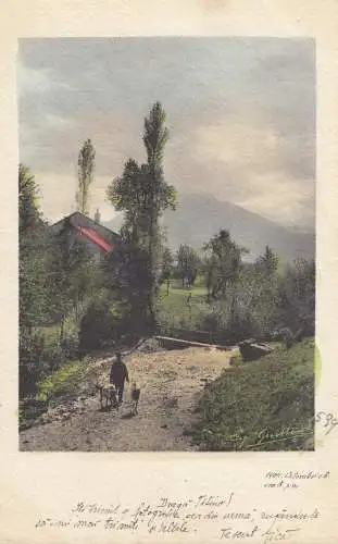 Roumanie: 1904: Carte visuelle.....