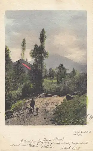 Rumänien: 1904: Ansichtskarte
