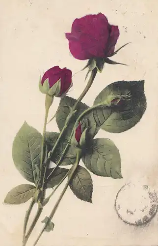 Russie: 1905: Carte recommandée en France.