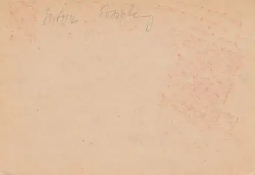 Russland: Ganzsache Kinder