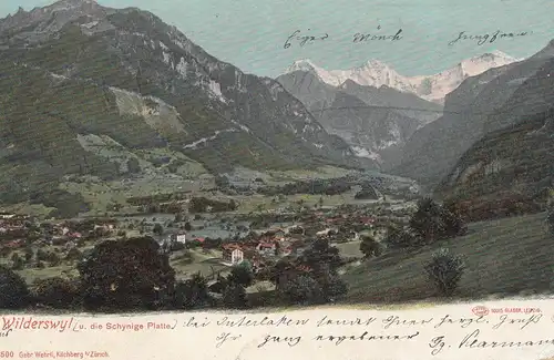 Suisse: 1904: Carte de vue de Wisswil après Francfort