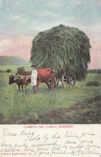 Espagne: 1907: Carte de vue de Tenerife vers la Nouvelle-Zélande