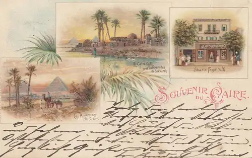 Ägypten/Egypte: 1903 Ansichtskarte Cairo nach Delmenhorst