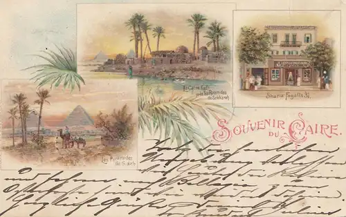 Égypte/Egypte: 1903 Carte de vue du Cairo vers Delmenhorst