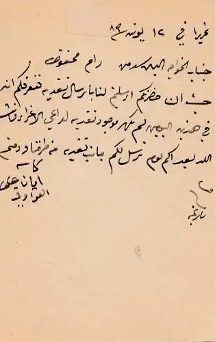 Ägypten/Egypte: 1898: Ganszache Tanta 