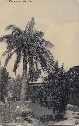 Bermuda: 1910: post card to New Jersey