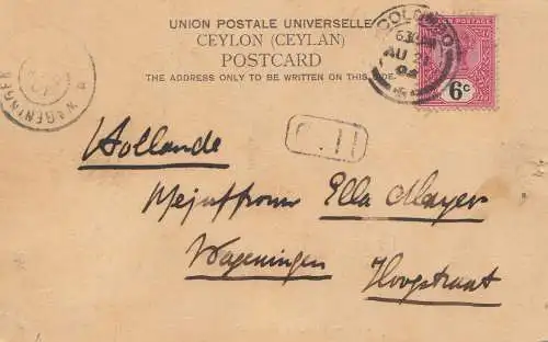 Ceylon: 1905: post card Colombo to Hollande