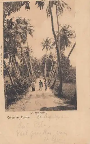 Ceylan: 1905: post card Colombo to Hollande