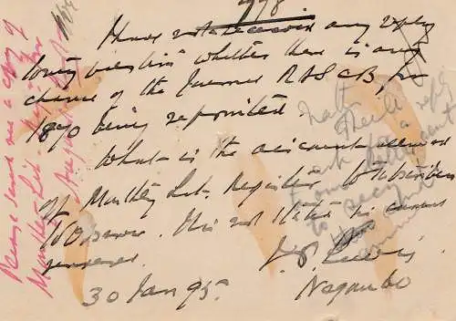 Ceylon: 1895: Neogombo to Colombo