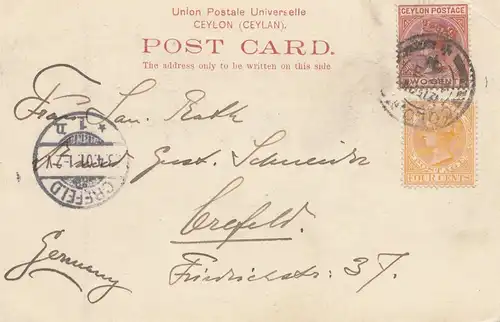 Ceylan: 1901 picture post card Huts Native Maskeliya to Crefeld/Germany