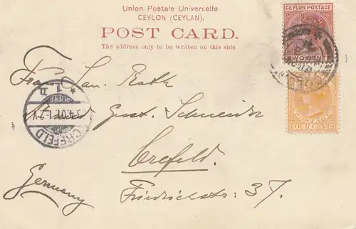 Ceylon: 1901 picture post card Native Huts Maskeliya to Crefeld/Germany