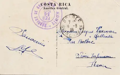 Costa Rica: 1935 picture post card Cocoanut Trees Limon