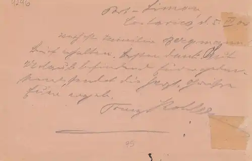 Costa Rica: 1904: post card Limona