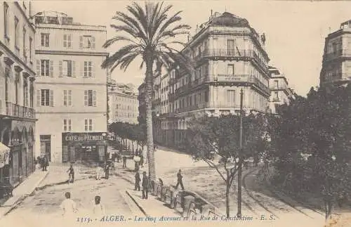 French colonies: Algerie 1914: carte postale Alger to Duisburg