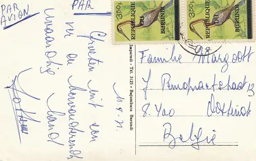 French colonies: Burundi: post card palm tree to Belgium