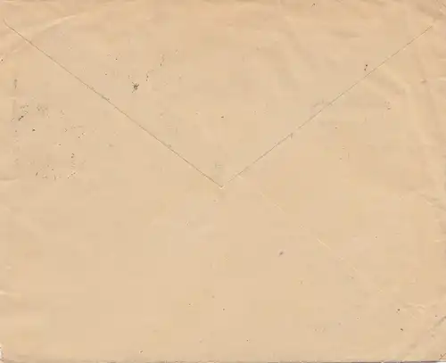 French colonies: Madagascar 1939: letter Tananarive to Nuremberg, crayonfabrik