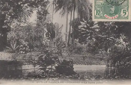 Colonies françaises: Guinee carte postale Conakry Jardain