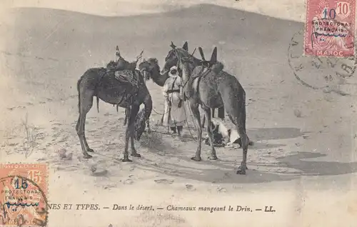 Maroc 1922: post card Kenitra to Dresde