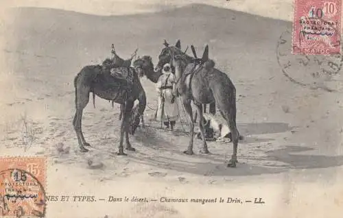 Maroc 1922: post card Kenitra to Dresden