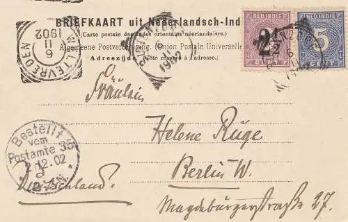 Ned. Indie 1902: post card Buitenzorg to Berlin