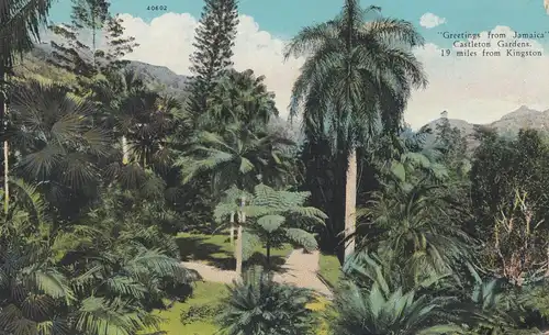 Panama 1929: post card: Jamaica/Kingstown via United Fruit Co Steamship Service