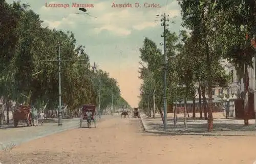 Mocambique 1912 post card Lourenco Marques Avenida D. Carlos to Bern/Switzerland