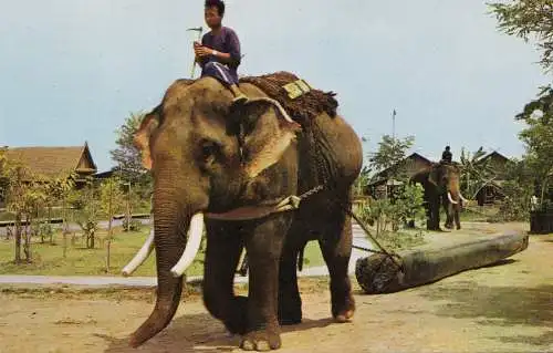 Thailand 1975: post card Thai Elephant via air mail to Heidenau/DDR