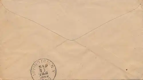 États - Unis 1889: Willson Publishing, Vineland, J.J., Medical Therapy