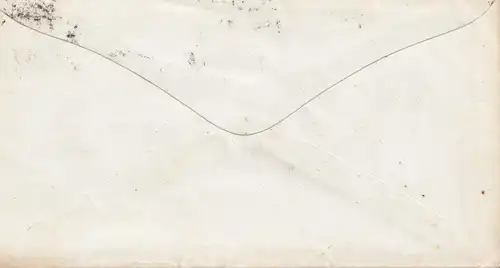 USA letter Michigan, bird