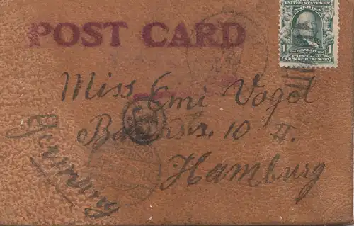 USA 1907: post card leather !!! Letter to Hambourg, Taxe, fishing cat