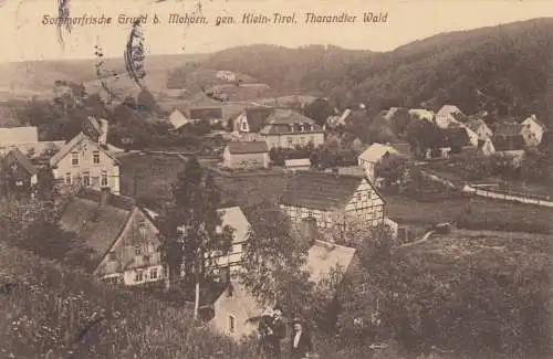 Carte de vue Plan près de Mohorn, Klein Tyrol, Tharandter Wald 1920 après Dresde