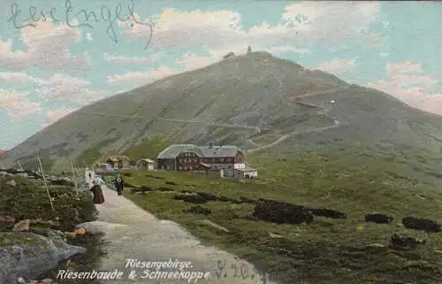 Ansichtskarte Riesengebirge, Schneekoppe nach Magedburg