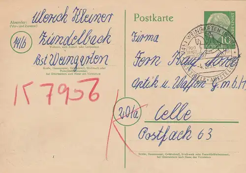 Cause complète Weingarten 1957, Festivals, Cavalier de Celle