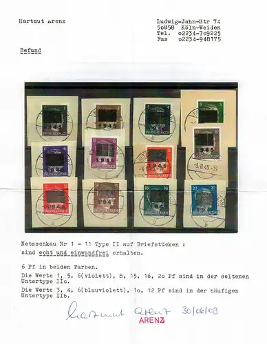 Netzschkau: MiNr., 1-11, Type II, gestempelt auf Briefstücken
