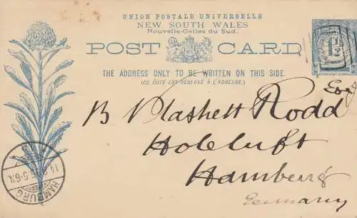 1895: post card NSW to Hambourg