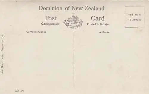 2x cartes postales: Dunedin gardens, Routeburn Valley