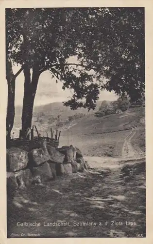 Carte postale 1917 Galicie Feld Post