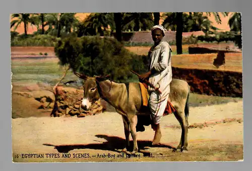 Post card Egyptian Types and Scens, Donkey, 1909 via Alexandria to Görlitz