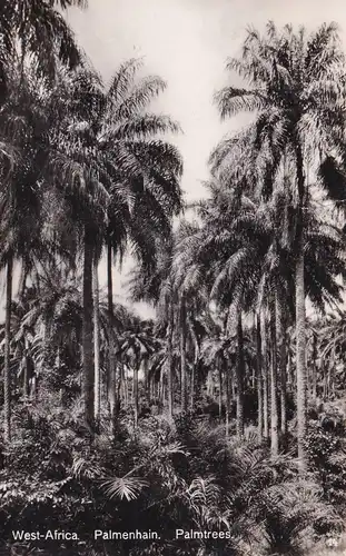 Carte postale de l'Afrique occidentale, courrier maritime S.S. Amstelkerk (1920-1953), vers Leipzig