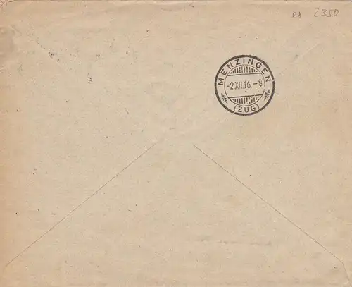 Armée suisse, Affaire de service de Berne après Menzingen 1916