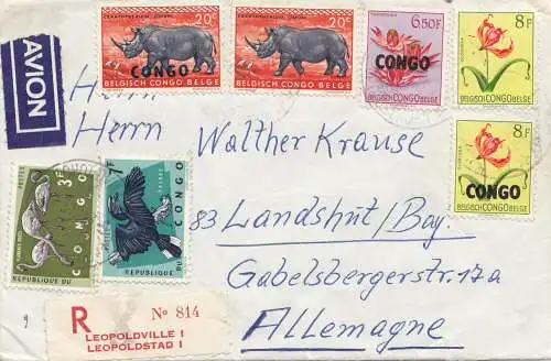 Belgisch-Kongo: Brief nach Deutschland: Nashorn, Flamingo