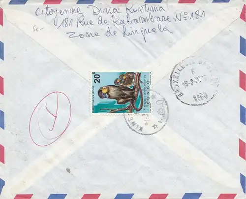 Congo belge: Lettre de Kinshasa à la Belgique, singe