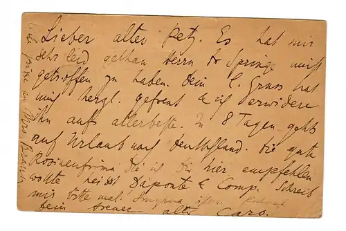 Affaire complète Levante Smyrna vers États-Unis en 1899