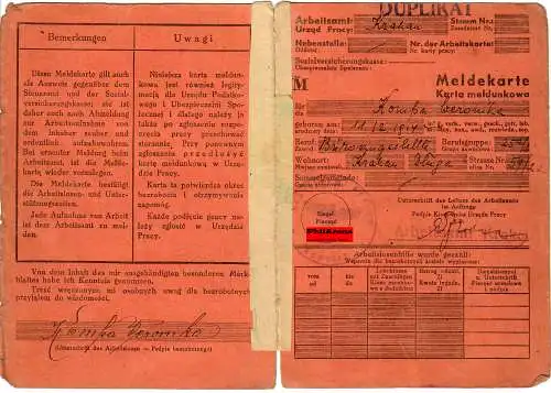 GG: Meldekarte Arbeitsamt Krakau, Büroangestellte 1941,