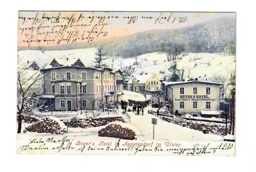 Ansichtskarte 1906 Agnetendorf/Schlesien, Riesengebirge nach Strasbourg