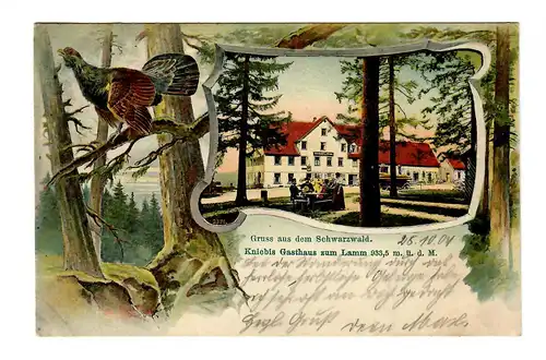 Ansichtskarte Gruß aus dem Schwarzwald, Kniebis nach Straßburg 1901