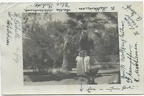 Ansichtskarte Familie bei Windhoek, 1926 nach Allenstein
