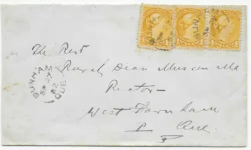 Cover from Cunham/Que 1882