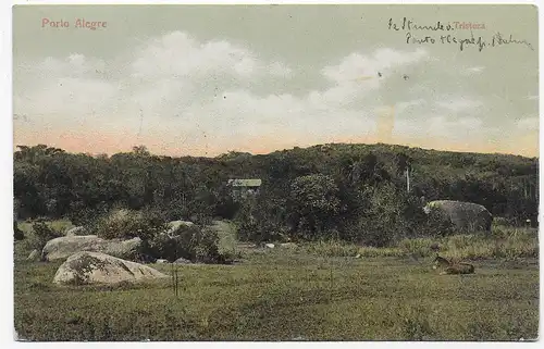 photo post card Tristeza, Porto Alegre 1901 to Genf/Switzerland, Esel
