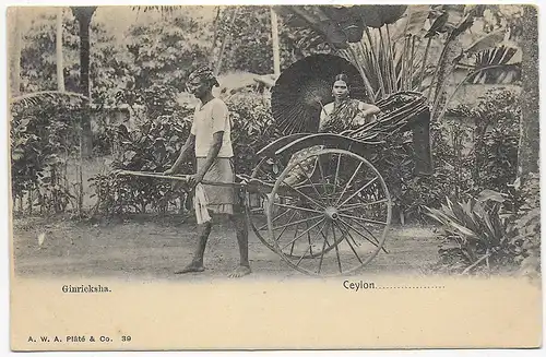 picture post card Ceylon Ginricksha